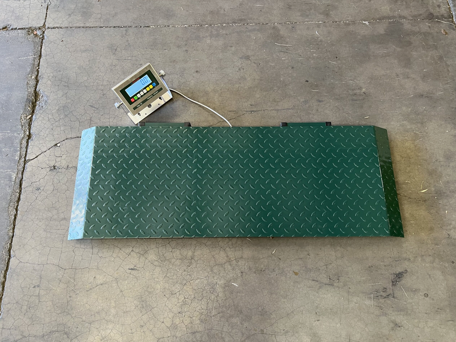 US-LS5020 Portable Floor Scale