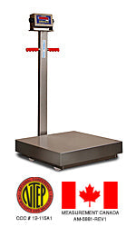 Cambridge Scale Works Model SS640-P and SS640-PS Stainless Steel Portable Platform Scales - Northline Scale