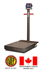 Cambridge Scale Works Model SS640-P and SS640-PS Stainless Steel Portable Platform Scales - Northline Scale