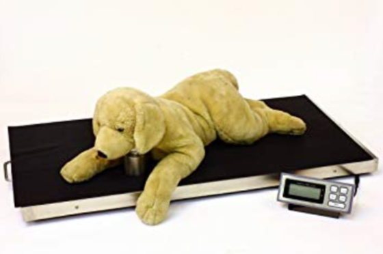 LVS-700 & LVS-700XL Livestock Vet Scales (Wireless Option)