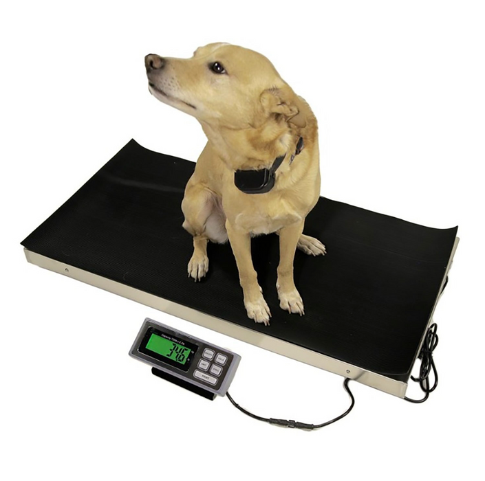 LVS-700 & LVS-700XL Livestock Vet Scales (Wireless Option)