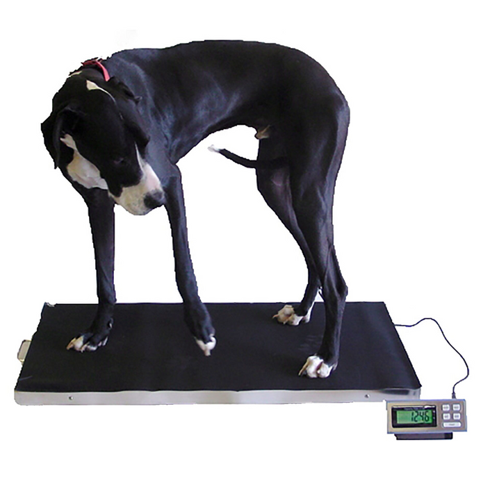 LVS-700 & LVS-700XL Livestock Vet Scales (Wireless Option)