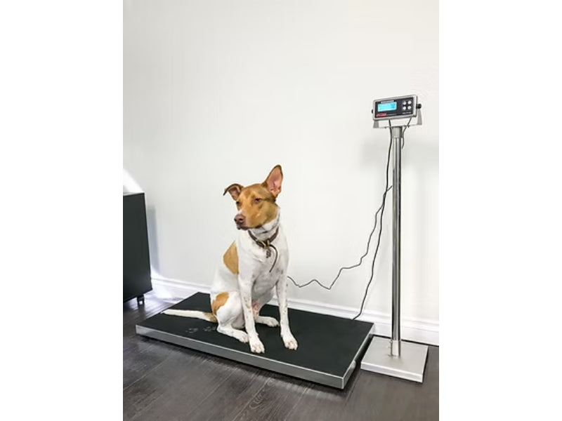 Optima Scale OP-922 Vet Scale For Animal Weighing - Northline Scale