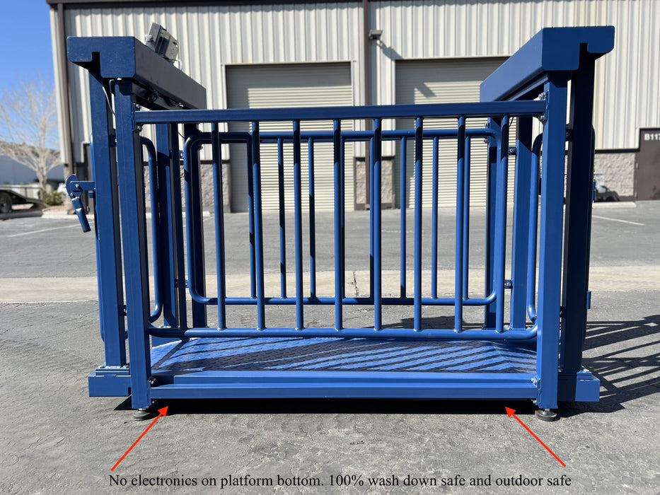 US-BC7120HD Big Blue Livestock Scale For Livestock Weighing - Northline Scale