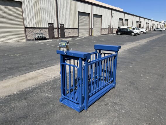 US-BC7120HD Big Blue Livestock Scale For Livestock Weighing - Northline Scale