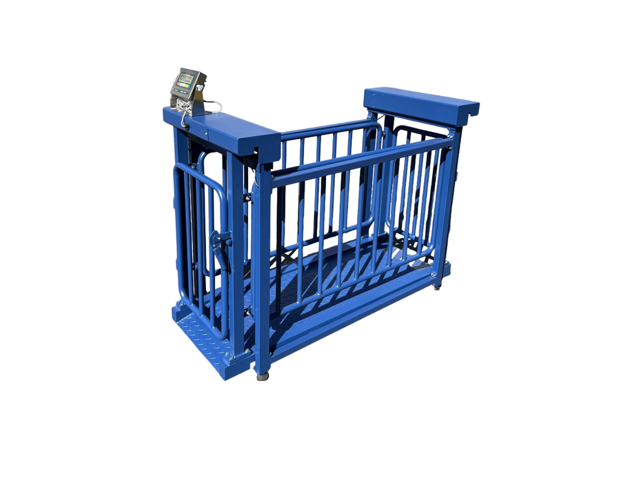 US-BC7120HD Big Blue Livestock Scale For Livestock Weighing - Northline Scale