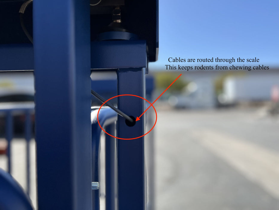 US-BC7120HD Big Blue Livestock Scale For Livestock Weighing - Northline Scale