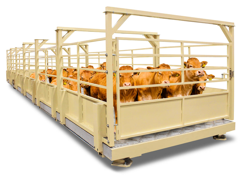 Cardinal Harvester Livestock Scales