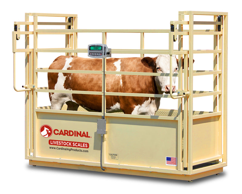 Cardinal SLS Single Animal Livestock Scales