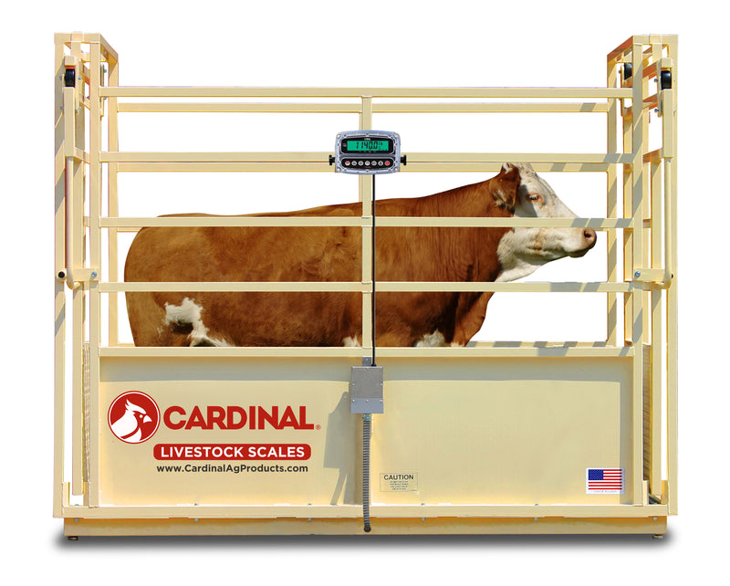 Cardinal SLS Single Animal Livestock Scales
