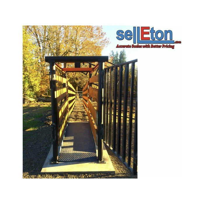 SellEton SL-929 Livestock & Cattle Alleyway Scale for horses, cows, pigs, and more up to 5000 lbs