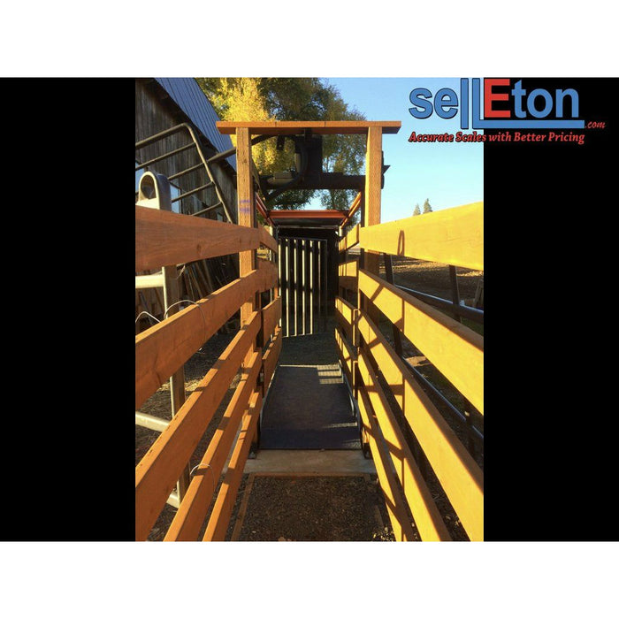 SellEton SL-929 Livestock & Cattle Alleyway Scale for horses, cows, pigs, and more up to 5000 lbs