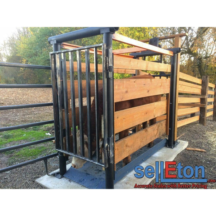 SellEton SL-929 Livestock & Cattle Alleyway Scale for horses, cows, pigs, and more up to 5000 lbs