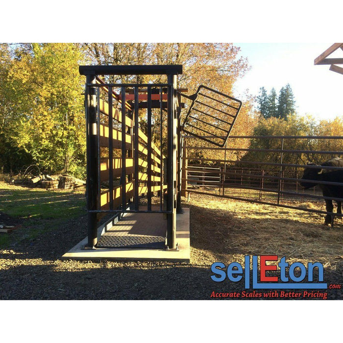 SellEton SL-929 Livestock & Cattle Alleyway Scale for horses, cows, pigs, and more up to 5000 lbs