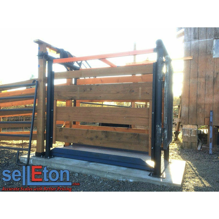 SellEton SL-929 Livestock & Cattle Alleyway Scale for horses, cows, pigs, and more up to 5000 lbs