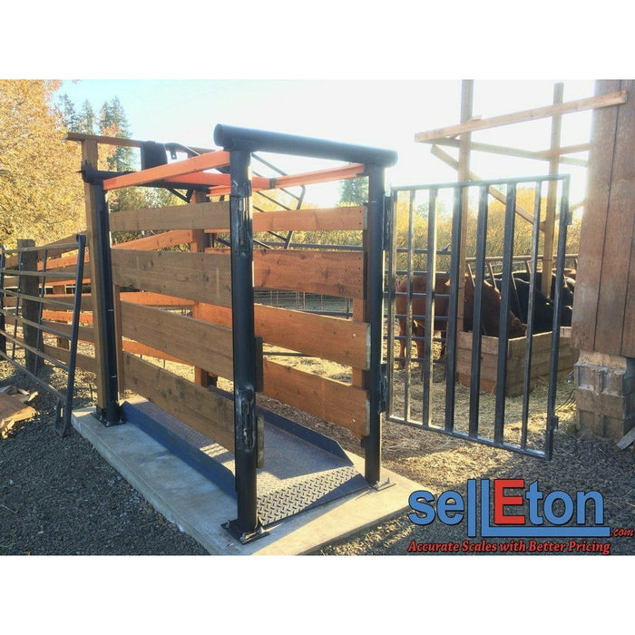 SellEton SL-929 Livestock & Cattle Alleyway Scale for horses, cows, pigs, and more up to 5000 lbs