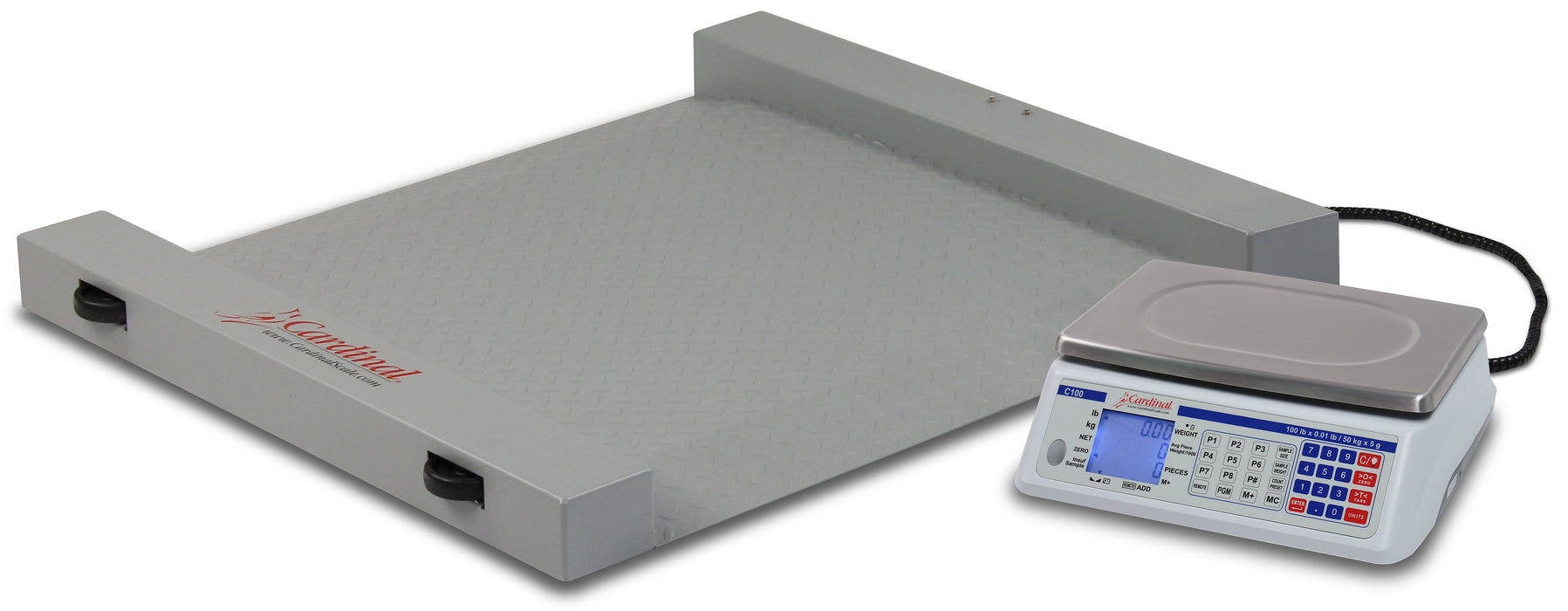 Detecto Run-a-Weigh Portable Floor Scale