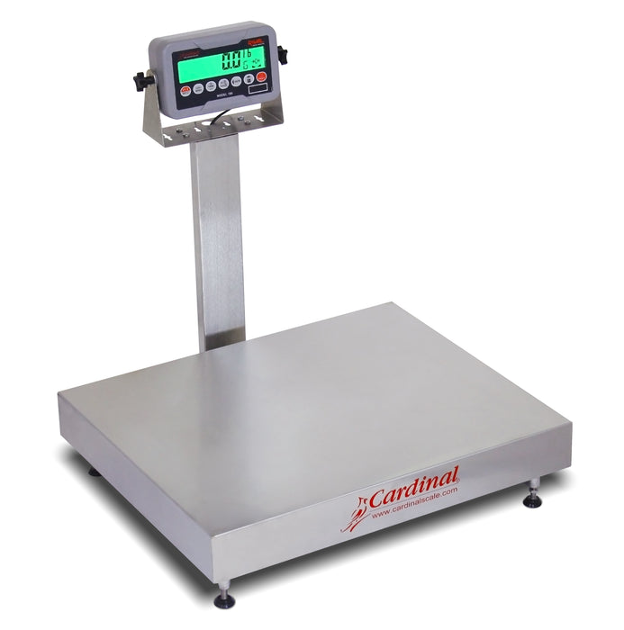 Detecto EB-185 Series Stainless Steel Bench Scale with Rival Weight Indicator