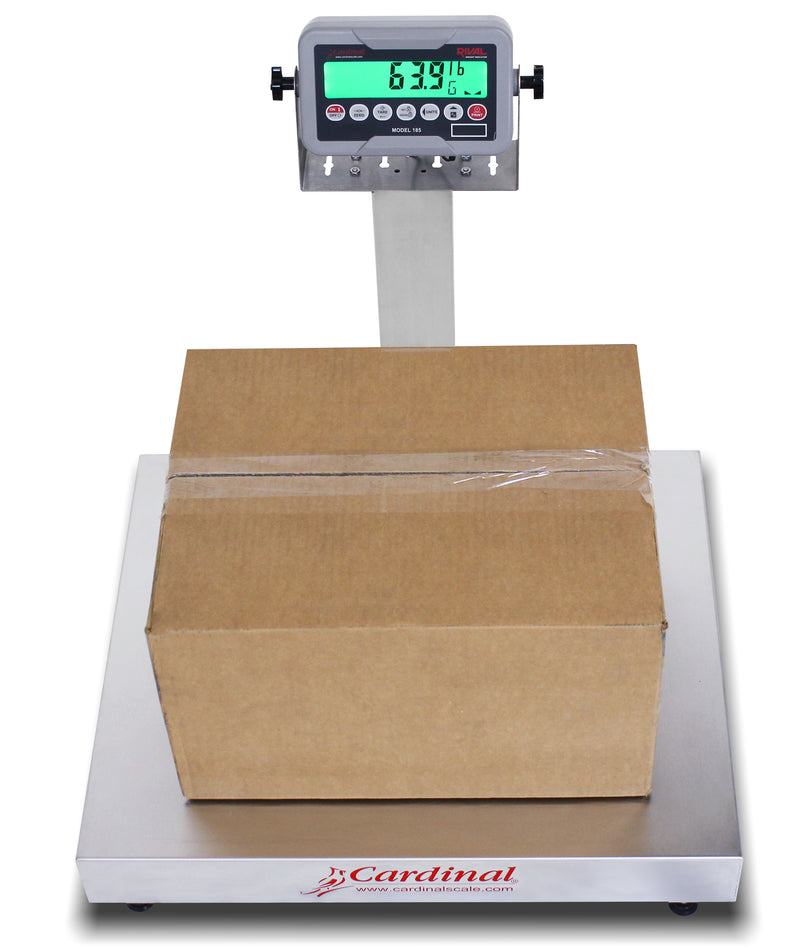 Detecto EB-185 Series Stainless Steel Bench Scale with Rival Weight Indicator