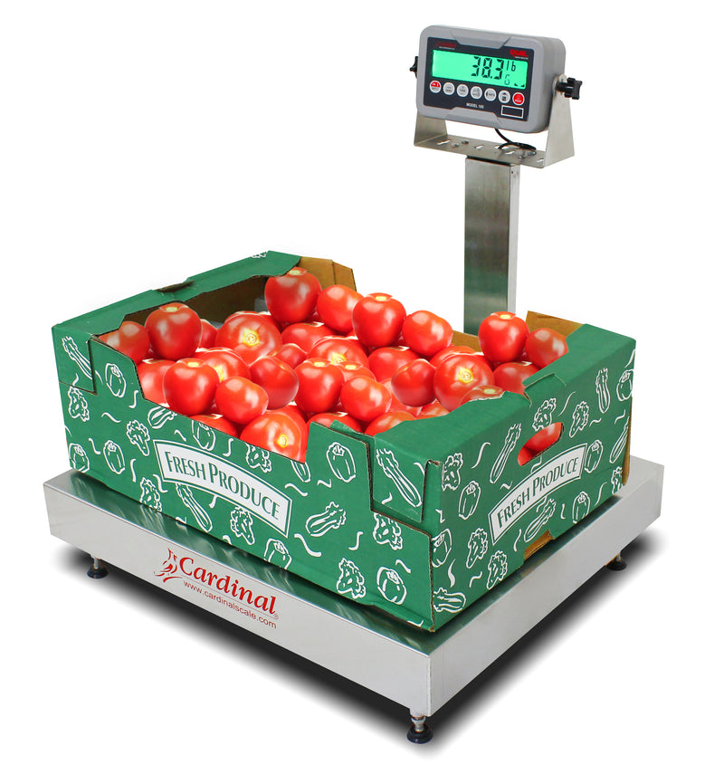 Detecto EB-185 Series Stainless Steel Bench Scale with Rival Weight Indicator