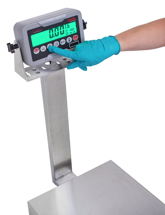 Detecto EB-185 Series Stainless Steel Bench Scale with Rival Weight Indicator
