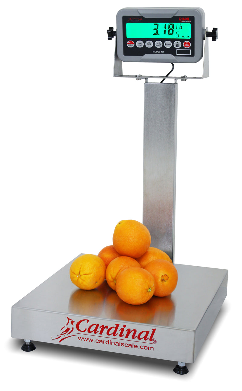 Detecto EB-185 Series Stainless Steel Bench Scale with Rival Weight Indicator