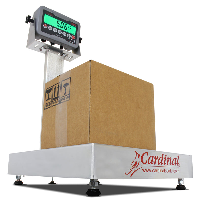 Detecto EB-185 Series Stainless Steel Bench Scale with Rival Weight Indicator