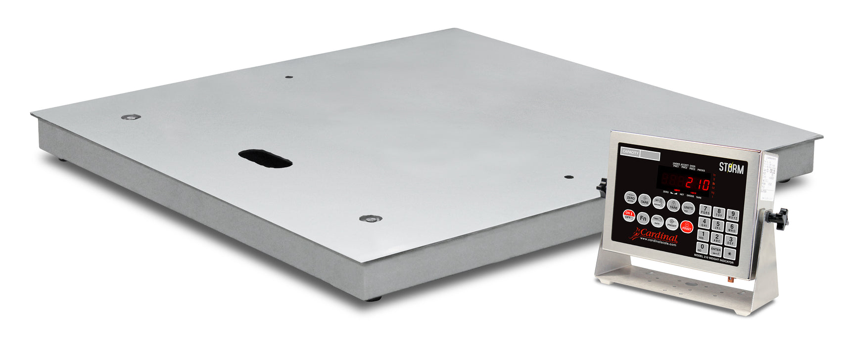 Electronic Floor Scales with Gas-Assisted Lift Decks