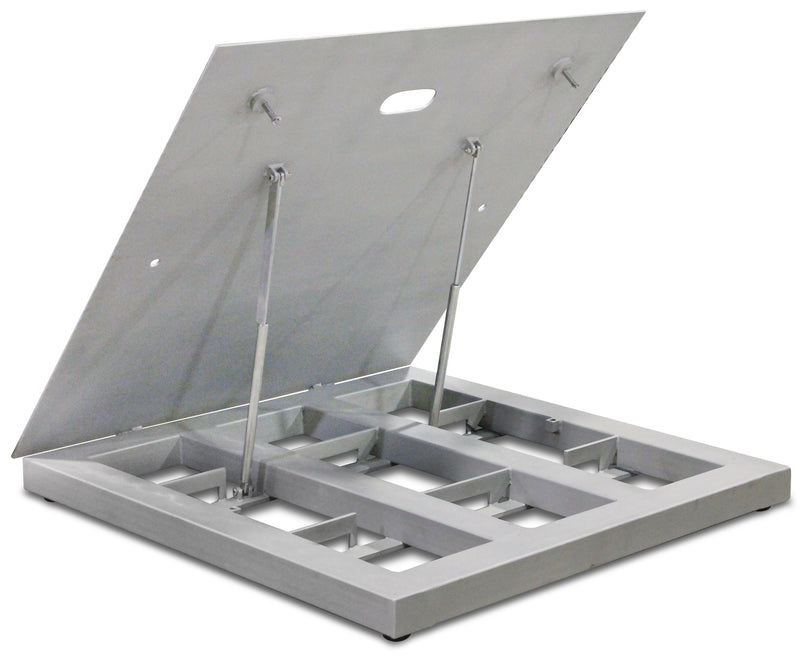Electronic Floor Scales with Gas-Assisted Lift Decks