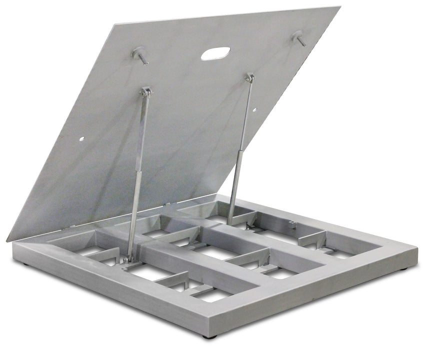 Electronic Floor Scales with Gas-Assisted Lift Decks
