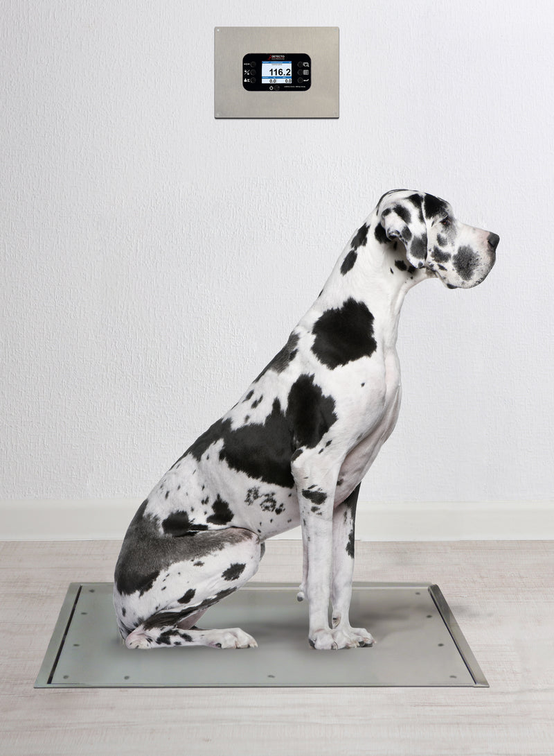 Detecto Solace In-Floor Dialysis Scales