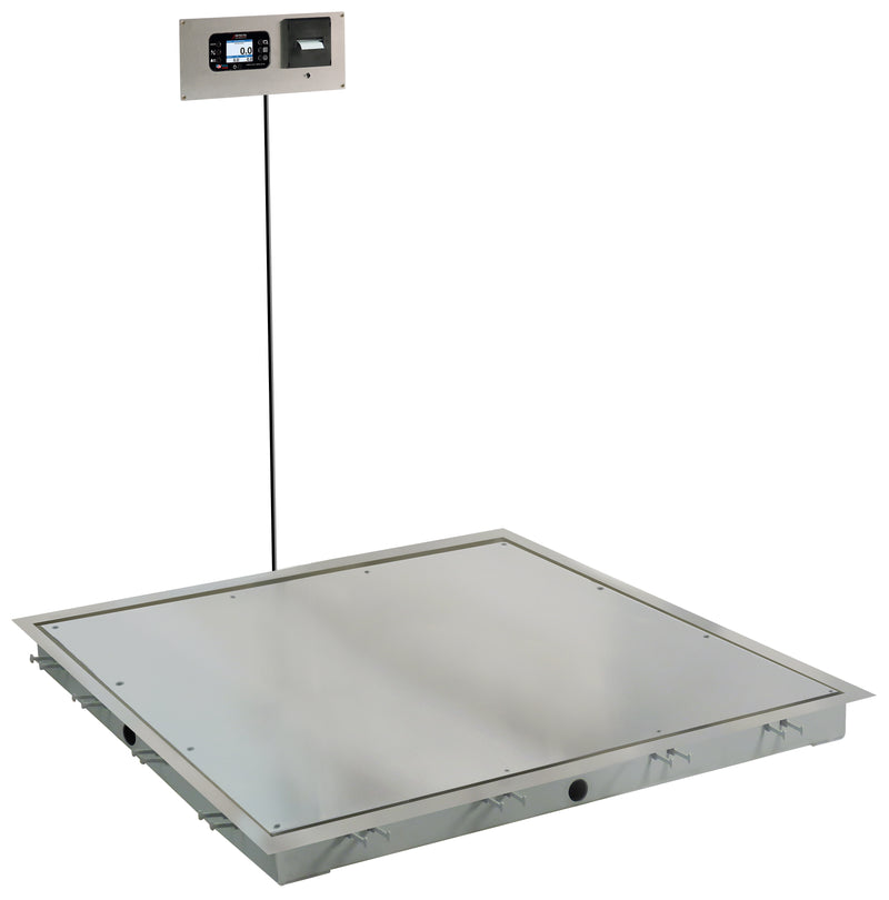 Detecto Solace In-Floor Dialysis Scales