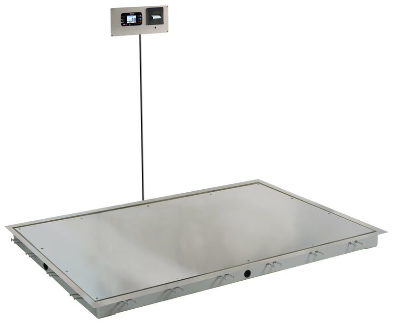 Detecto Solace In-Floor Dialysis Scales
