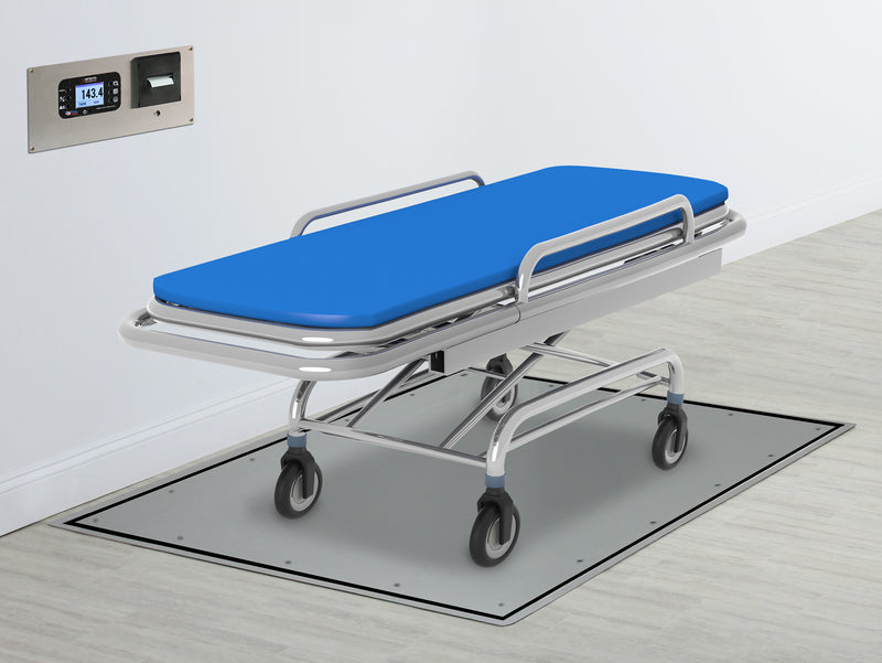 Detecto Solace In-Floor Dialysis Scales