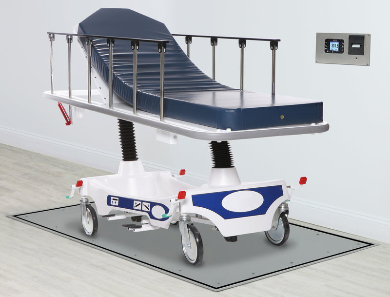 Detecto Solace In-Floor Dialysis Scales