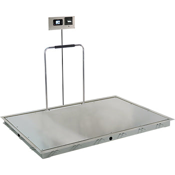 Detecto Solace In-Floor Dialysis Scales