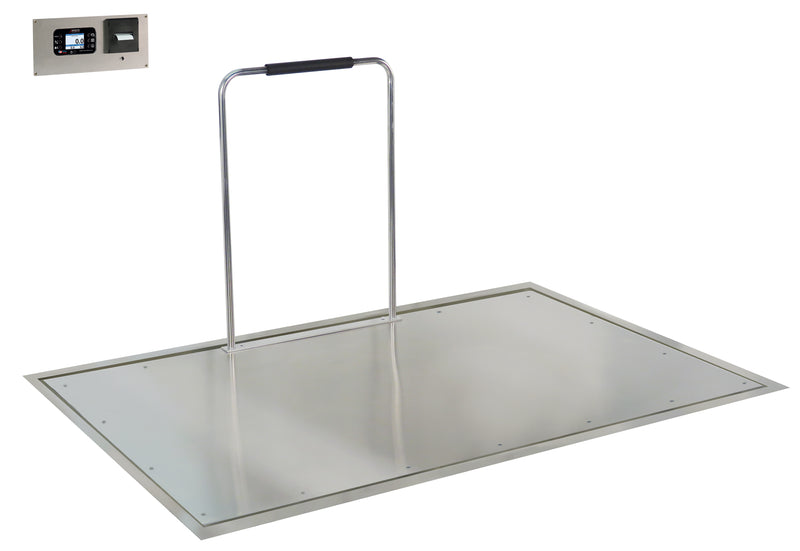 Detecto Solace In-Floor Dialysis Scales