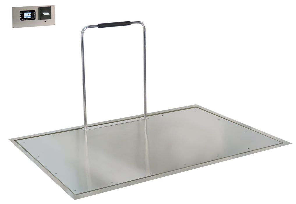 Detecto Solace In-Floor Dialysis Scales