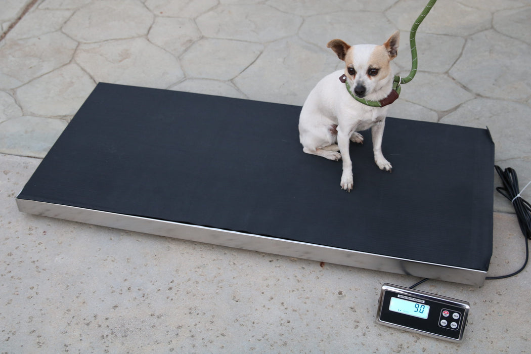 US-LS4320 Vet Pro Animal Scale  For Livestock Weighing