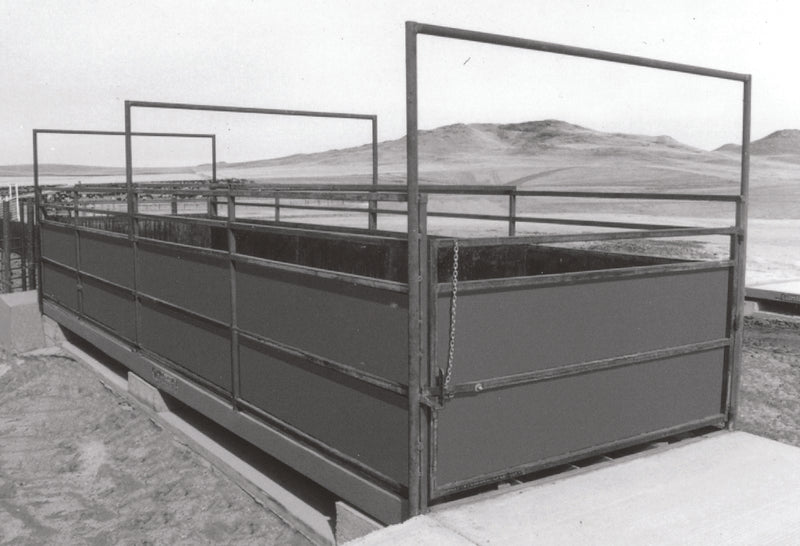 Cardinal LSE Electronic Economical Farm Scale