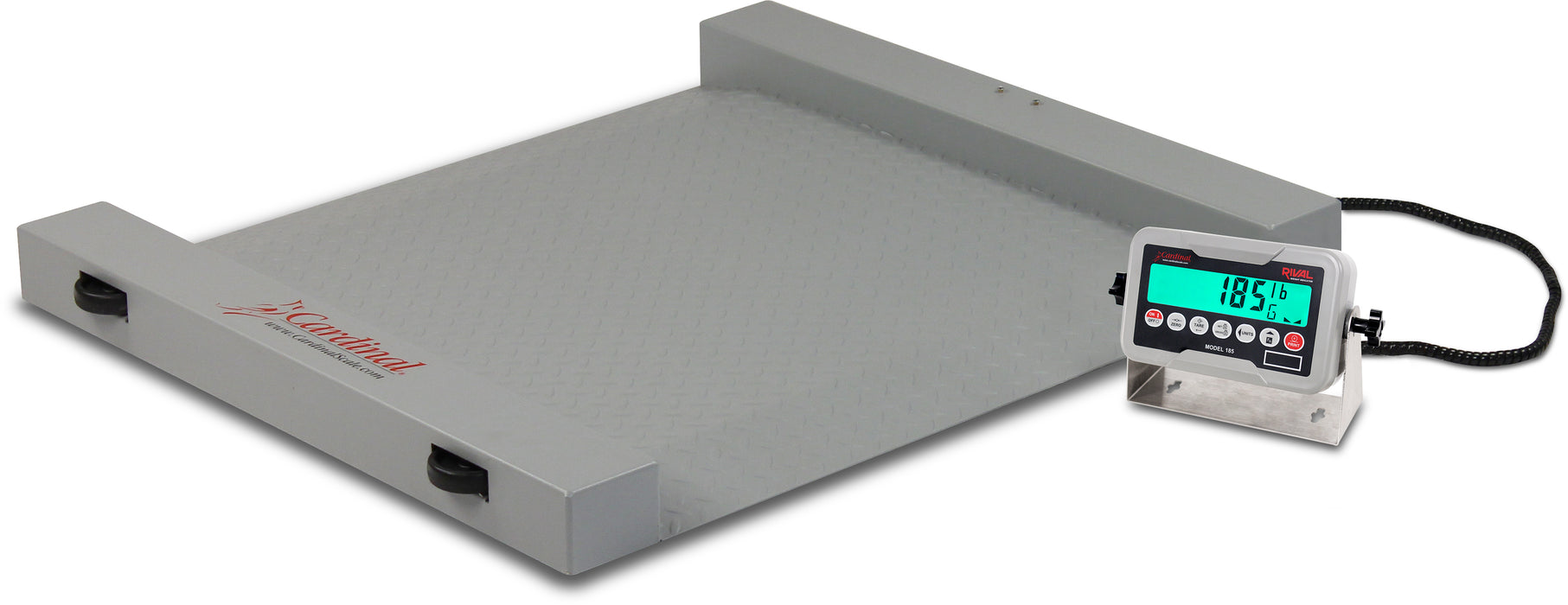 Detecto Run-a-Weigh Portable Floor Scale