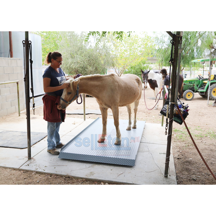 SellEton SL-929 Livestock & Cattle Alleyway Scale for horses, cows, pigs, and more up to 5000 lbs