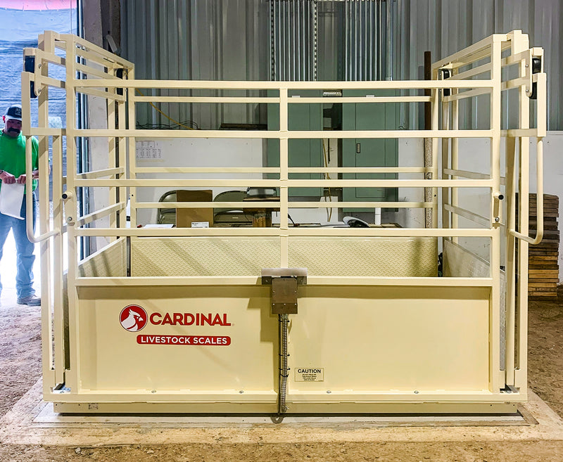 Cardinal SLS Single Animal Livestock Scales