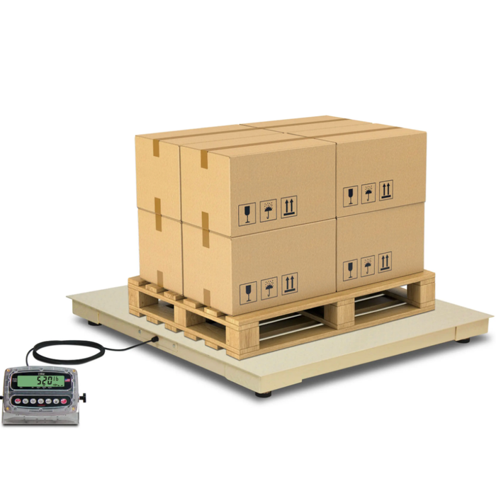 Echelon EH Series Economical Floor Scales