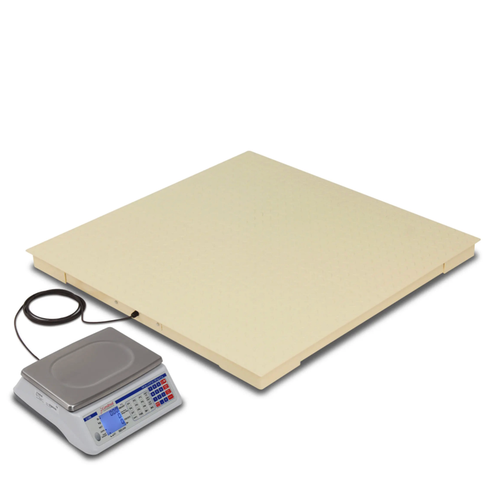 Echelon EH Series Economical Floor Scales