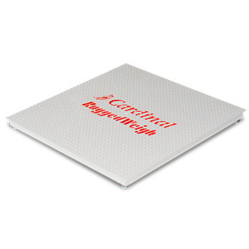 RuggedWeigh Economical Floor Scales