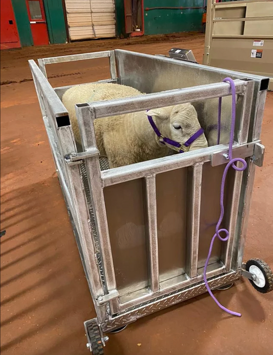 OP-930-LT Aluminum Portable Livestock Scale (USA Made)
