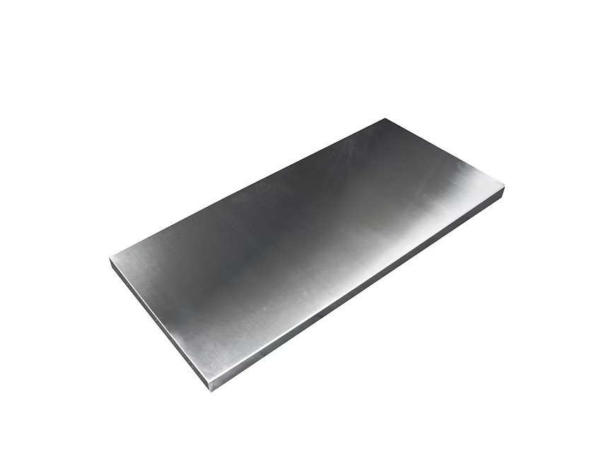 T922 Stainless Steel Veterinarian and Small Animal Scale Package