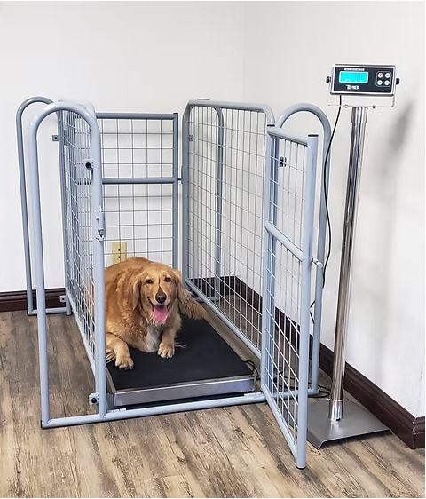 T922 Stainless Steel Veterinarian and Small Animal Scale Package