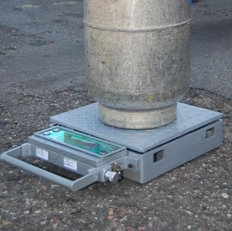 CW250™ Platform Scales